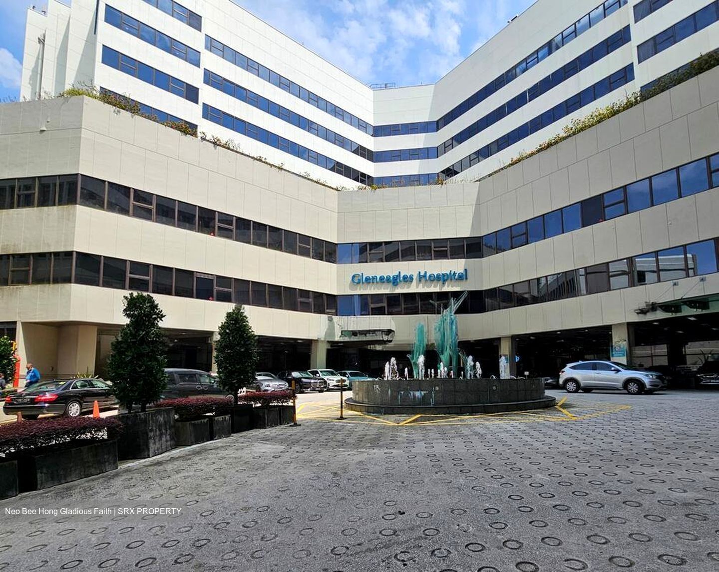 Gleneagles Hospital (D10), Retail #525260881